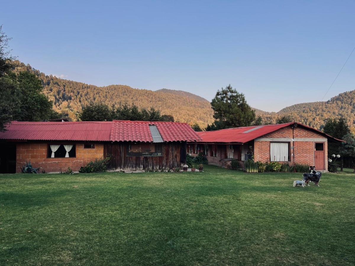 Cabañas Los Saucos Mesa de Palomas Exterior foto